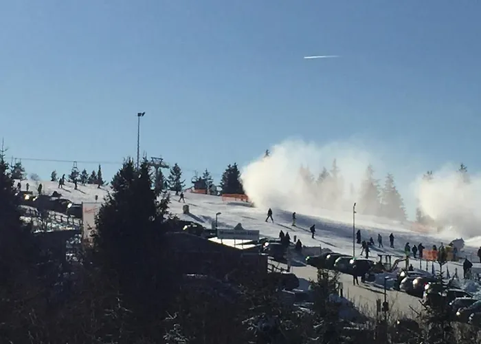 21093 Апартаменты Винтерберг